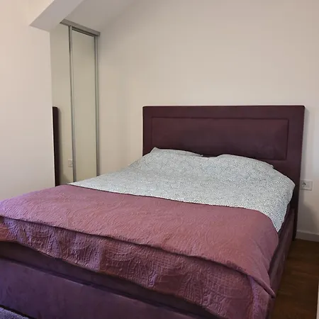 Shine 29 * Podgorica